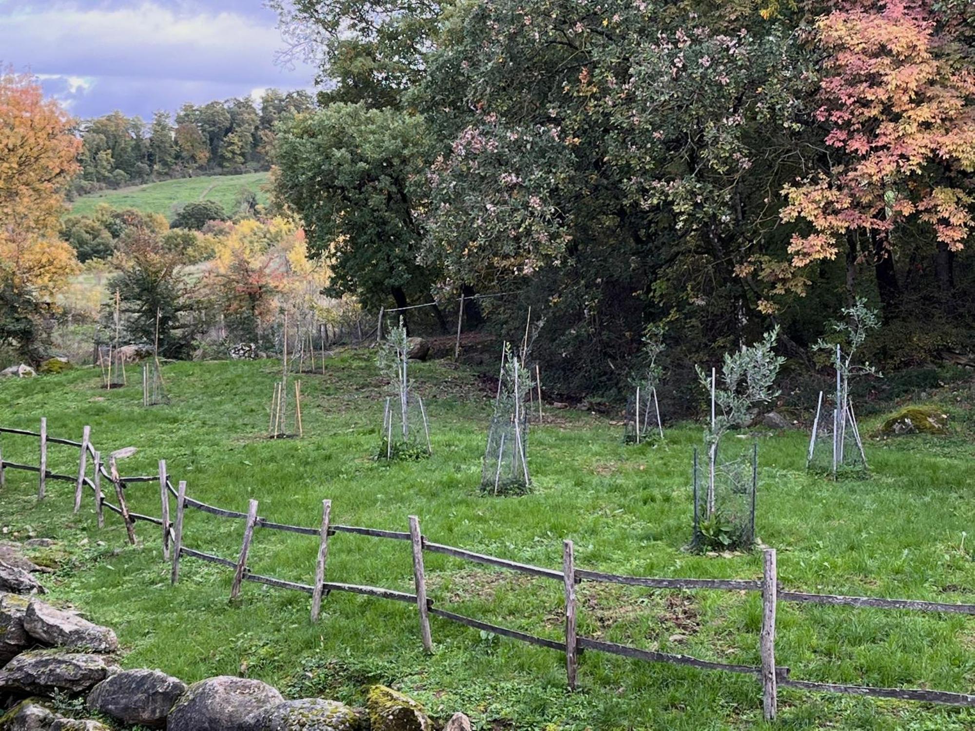 Casetta Di Ugolino Radicofani Exterior photo