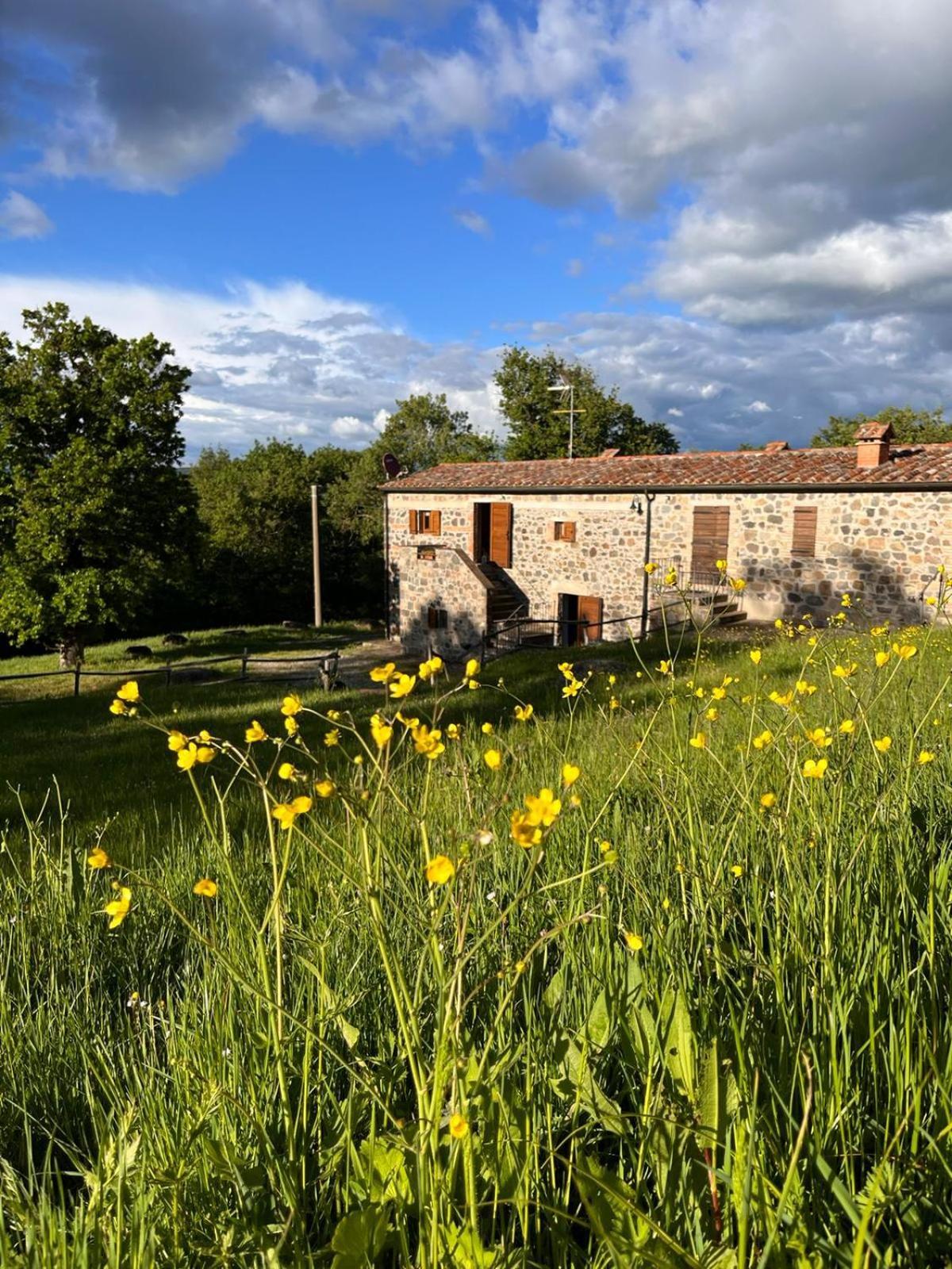 Casetta Di Ugolino Radicofani Exterior photo